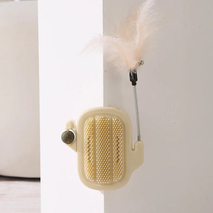 Kaktus z miętką na ściane