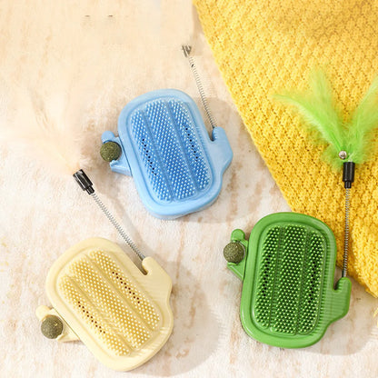 Kaktus z miętką na ściane