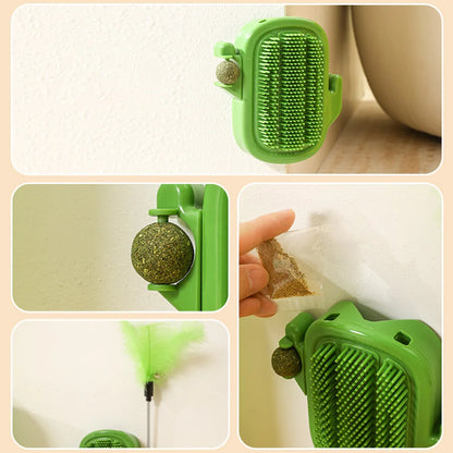 Kaktus z miętką na ściane