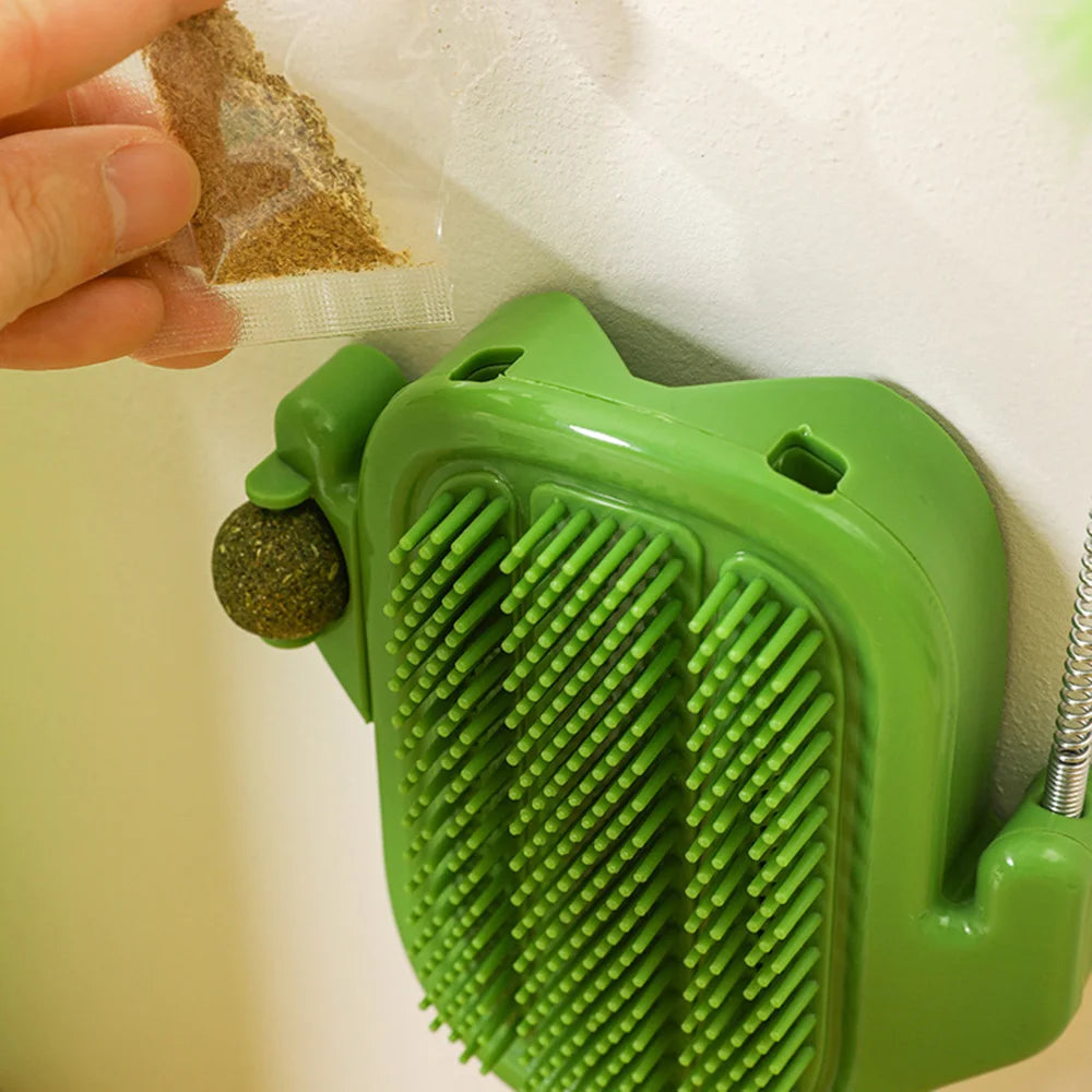 Kaktus z miętką na ściane