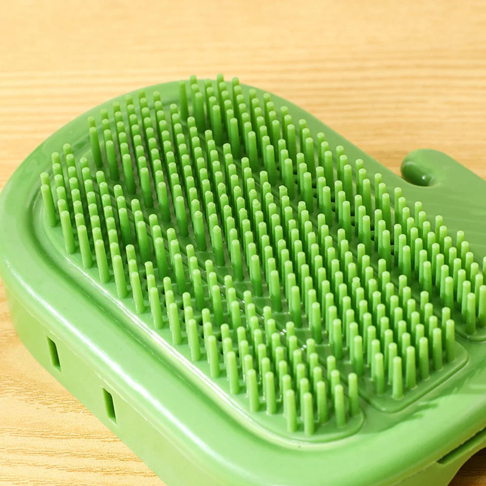 Kaktus z miętką na ściane